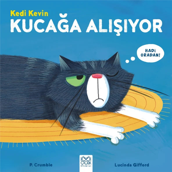 Kedi Kevin - Kucağa Alışıyor ürün görseli 1