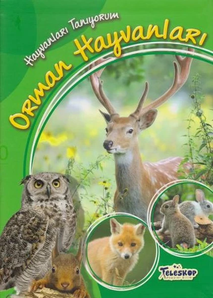 Hayvanları Tanıyorum Orman Hayvanları ürün görseli 1