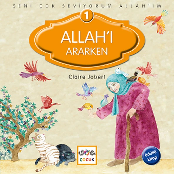 Allahı Ararken ürün görseli 1