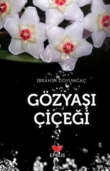 Gözyaşı Çiçeği ürün görseli 1