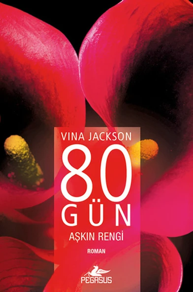 80 Gün Aşkın Rengi ürün görseli 1