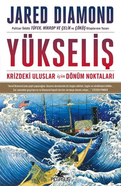 Yükseliş: Krizdeki Uluslar İçin Dönüm Noktaları - Ciltsiz ürün görseli 1