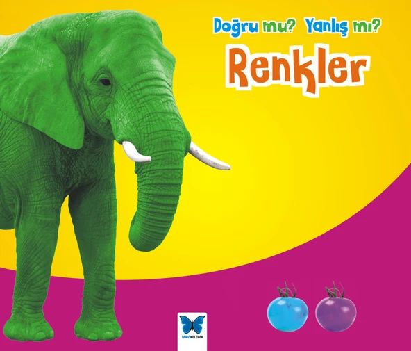 Renkler / Doğru mu Yanlış mı? ürün görseli 1