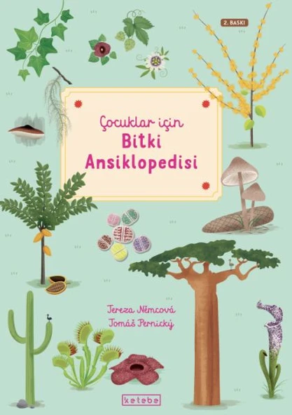 Çocuklar İçin Bitki Ansiklopedisi ürün görseli 1