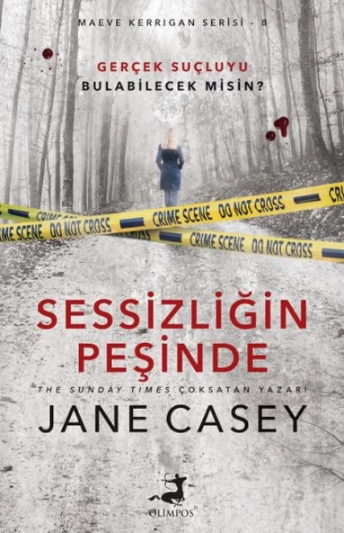 Sessizliğin Peşinde ürün görseli 1