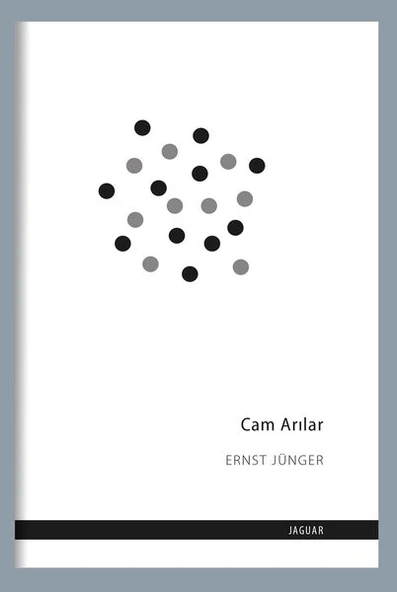 Cam Arılar ürün görseli 1