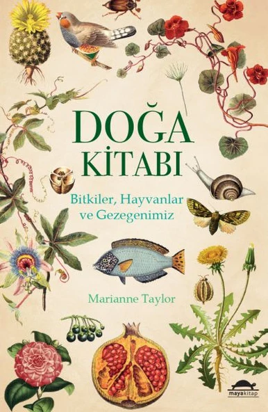 Doğa Kitabı - Bitkiler, Hayvanlar ve Gezegenimiz ürün görseli 1
