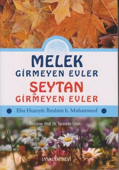 Melek Girmeyen Evler - Şeytan Girmeyen Evler ürün görseli 1