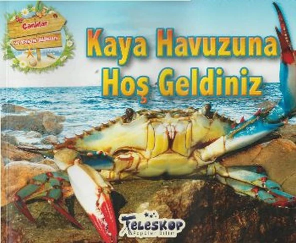 Kaya Havuzuna Hoş Geldiniz ürün görseli 1