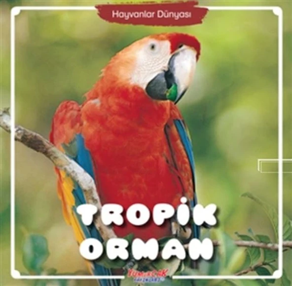 Tropik Orman - Hayvanlar Dünyası ürün görseli 1