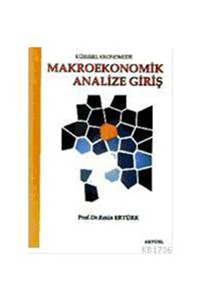 Makro Ekonomik Analize Giriş ürün görseli 1