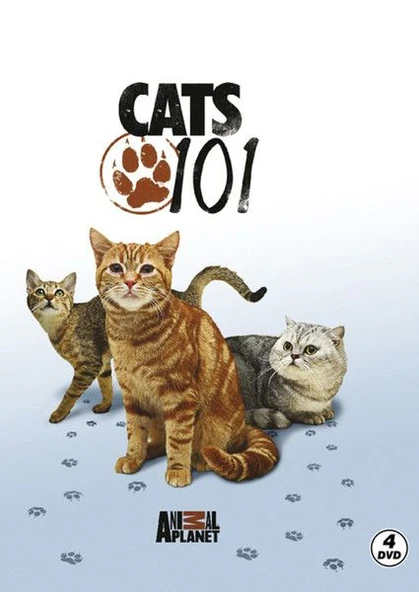 Cats 101 - Kediler ürün görseli 1