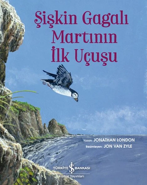 Şişkin Gagalı Martının İlk Uçuşu ürün görseli 1