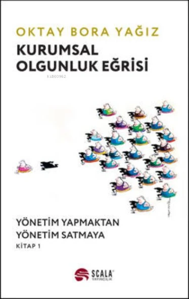 Kurumsal Olgunluk Eğrisi ürün görseli 1