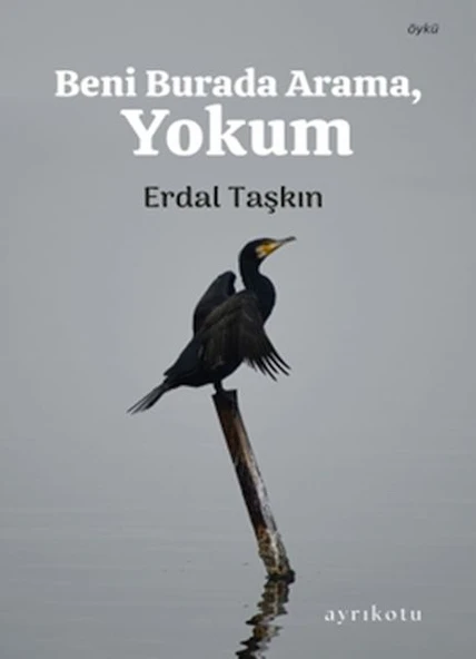 Beni Burada Arama, Yokum ürün görseli 1