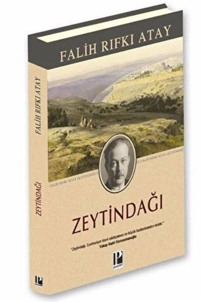 Zeytindağı (Ciltli) ürün görseli 1
