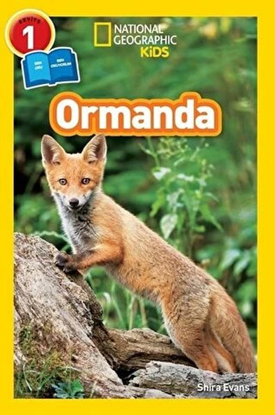 Ormanda - Seviye 1 ürün görseli 1