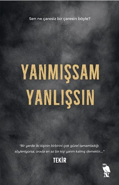 Yanmışsam Yanlışsın ürün görseli 1