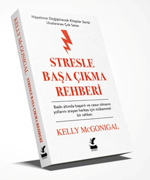 Stresle Başa Çıkma Rehberi ürün görseli 1
