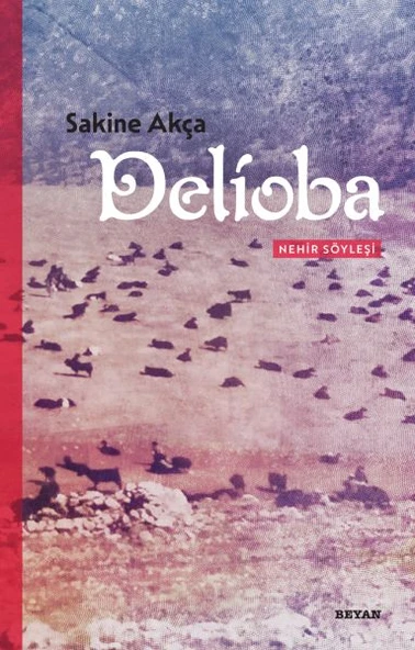 Delioba  - Nehir Söyleşi ürün görseli 1