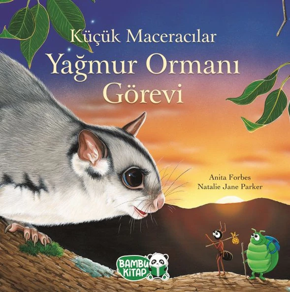 Küçük Maceracılar - Yağmur Ormanı Görevi ürün görseli 1