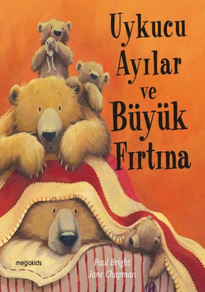 Uykucu Ayılar ve Büyük Fırtına ürün görseli 1