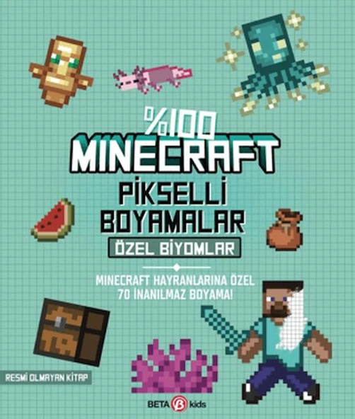 %100 Minecraft Pikselli Boyamalar Özel Biyomlar ürün görseli 1