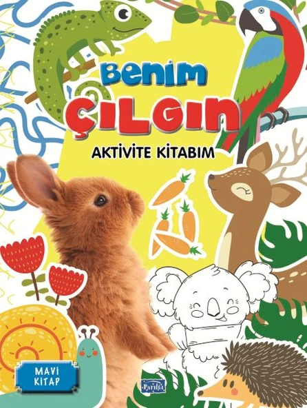 Benim Çılgın Aktivite Kitabım Mavi Kitap ürün görseli 1