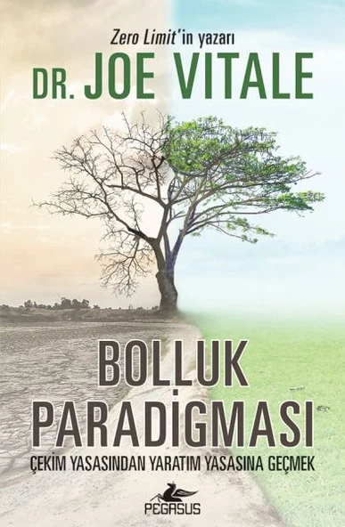 Bolluk Paradigması ürün görseli 1