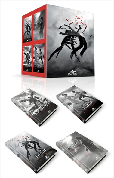 Hush Hush Serisi Seti (4 Kitap) ürün görseli 1