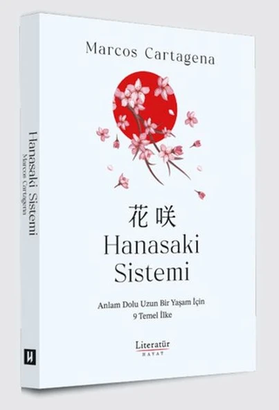 Hanasaki Sistemi ürün görseli 1