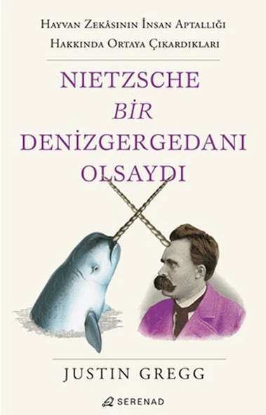 Nietzsche Bir Denizgergedanı Olsaydı ürün görseli 1