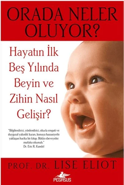 Orada Neler Oluyor ürün görseli 1