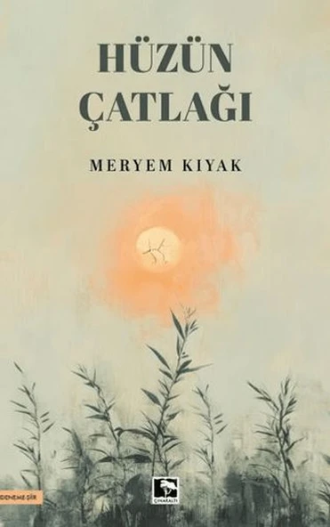 Hüzün Çatlağı ürün görseli 1