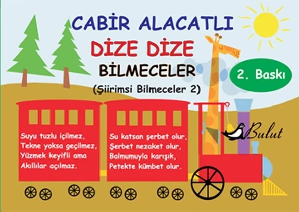 Dize Dize Bilmeceler ürün görseli 1