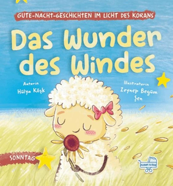 Das wunder des windes (Almanca, Rüzgârın Sürprizi) ürün görseli 1