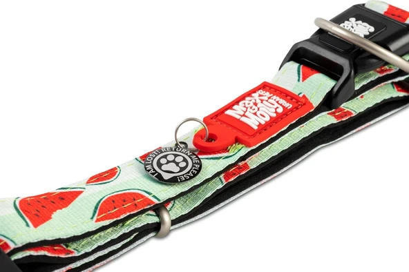 Max Molly Watermelon Smart ID Köpek Boyun Tasması Medium - Resim 3