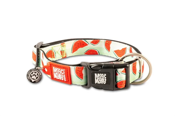 Max Molly Watermelon Smart ID Köpek Boyun Tasması XSmall ürün görseli 1