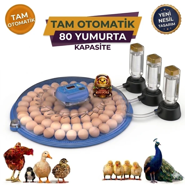 80 Yumurta Kapasiteli Tam Otomatik Kuluçka Makinesi ürün görseli 1