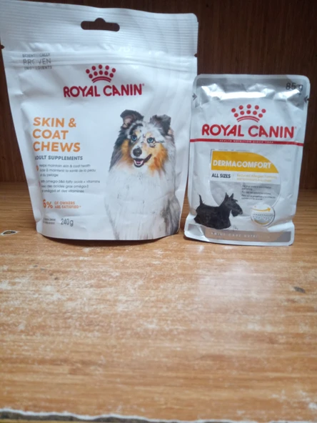 ROYAL CANİN Skin&Coat Chews Deri ve Tüy Sağlığını Destekleyen Tamamlayıcı Ödül Maması 240 GR+ROYAL CANİN DERMACOMFORT KÖPEK YAŞ MAMA 85 GRAM ürün görseli 1