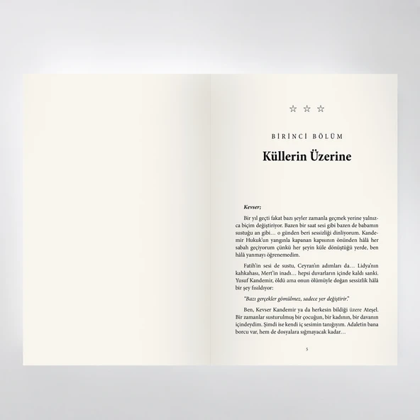 Savunulmamış Günlükleri - Hamza Ergüt - Resim 4