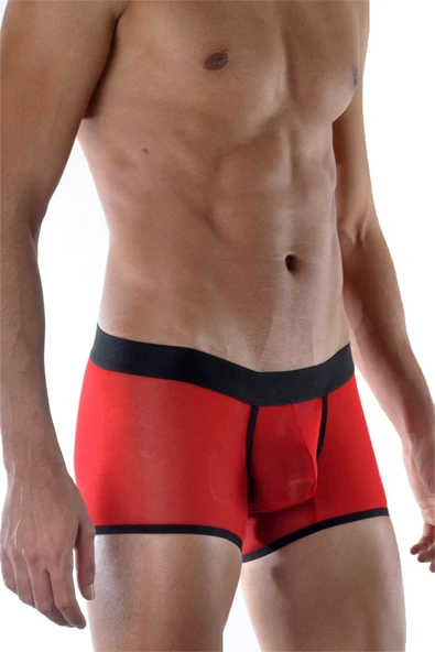 Kırmızı Erkek Boxer - Resim 4