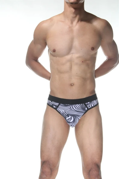 Zebra Desenli Erkek Tangası - Resim 4