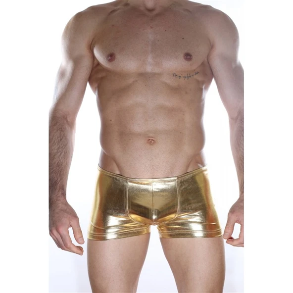 Arkası Fermuarlı Boxer - Resim 2