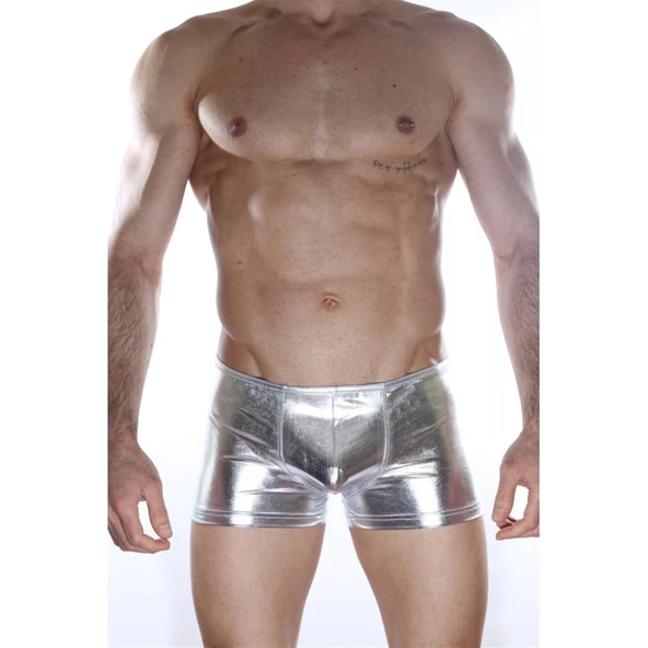 Arkası Fermuarlı Boxer - Resim 2