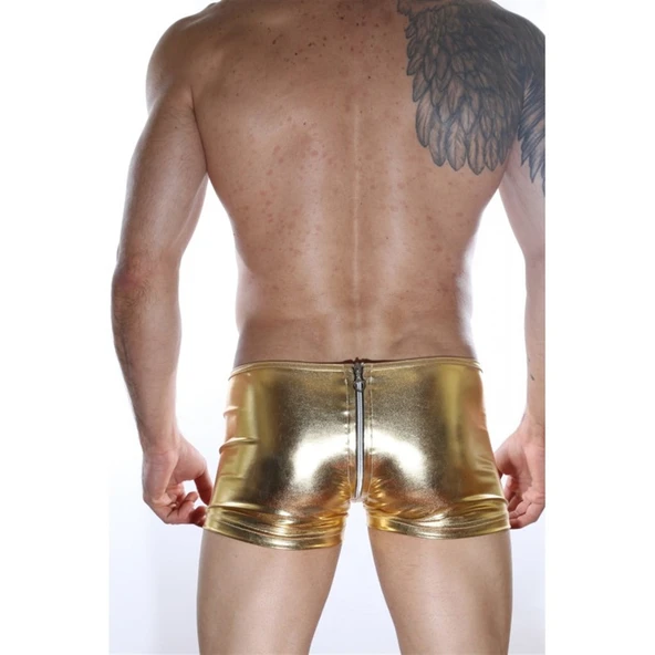 Arkası Fermuarlı Boxer - Resim 3