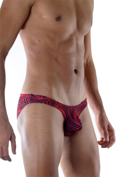 Desenli Erkek Slip - Resim 4