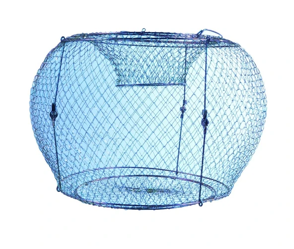 FreeCamp Fulton 50cm Davul Pinter ürün görseli 1