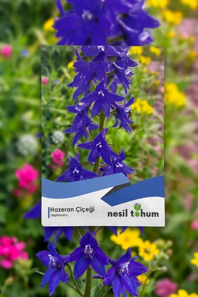Hazeran Çiçeği Tohumu ürün görseli 1