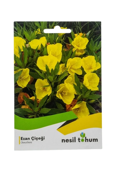Ezan Çiçeği Tohumu - Resim 2